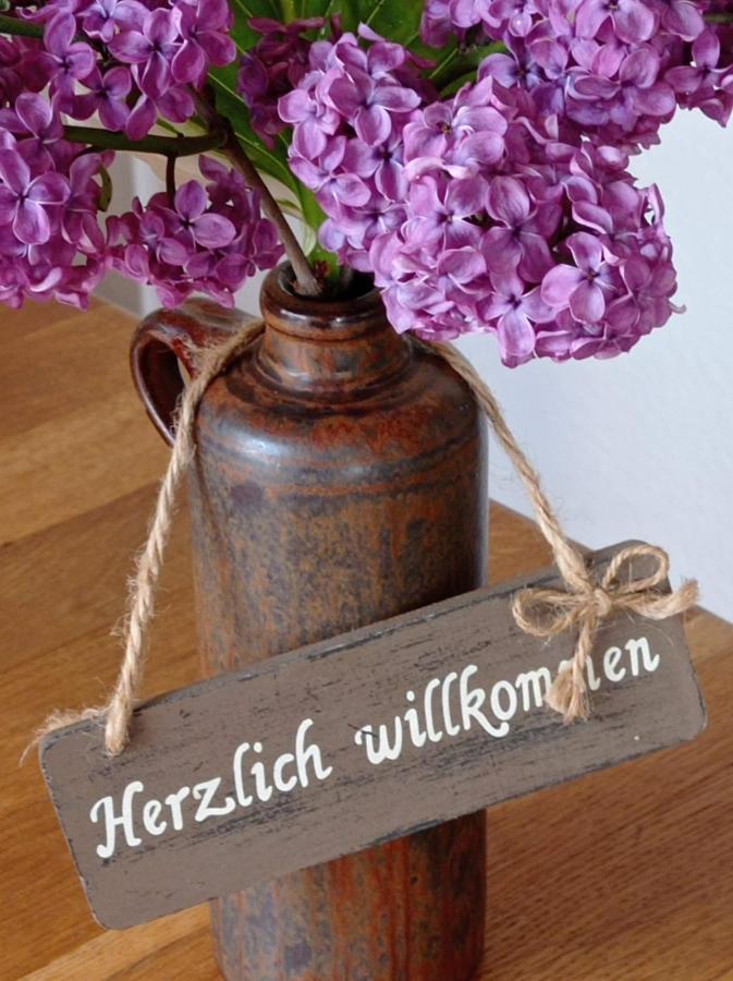 Ferienwohnung Sauerland Burgfenster 伦讷施塔特 外观 照片