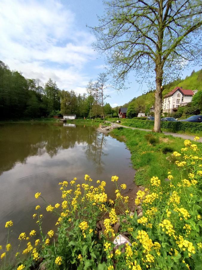 Ferienwohnung Sauerland Burgfenster 伦讷施塔特 外观 照片