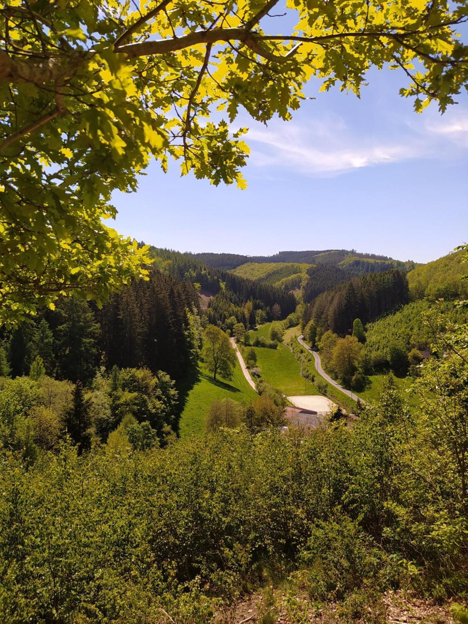 Ferienwohnung Sauerland Burgfenster 伦讷施塔特 外观 照片